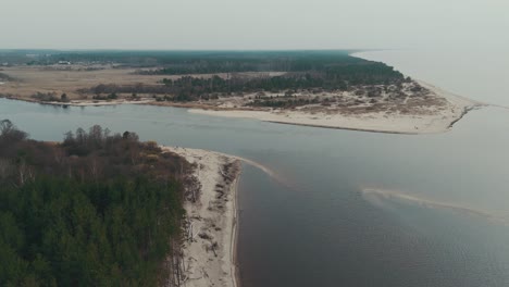 Toma-Aérea-El-Río-Gauja-Desemboca-En-El-Mar-Báltico-Golfo-De-Riga,-Letonia-Pinos-Rotos-Después-De-La-Tormenta-Y-La-Orilla-Arrastrada