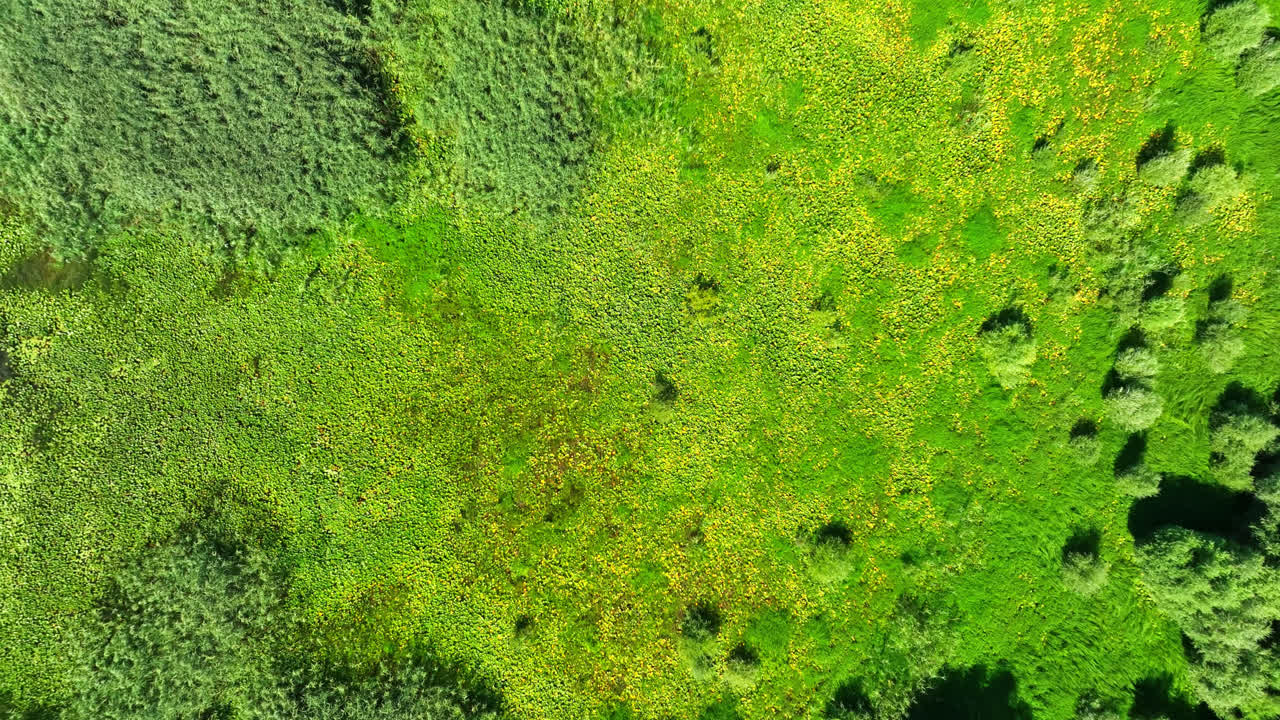 vista aérea girando sobre los humedales en el parque nacional del lago skadar, en montenegro