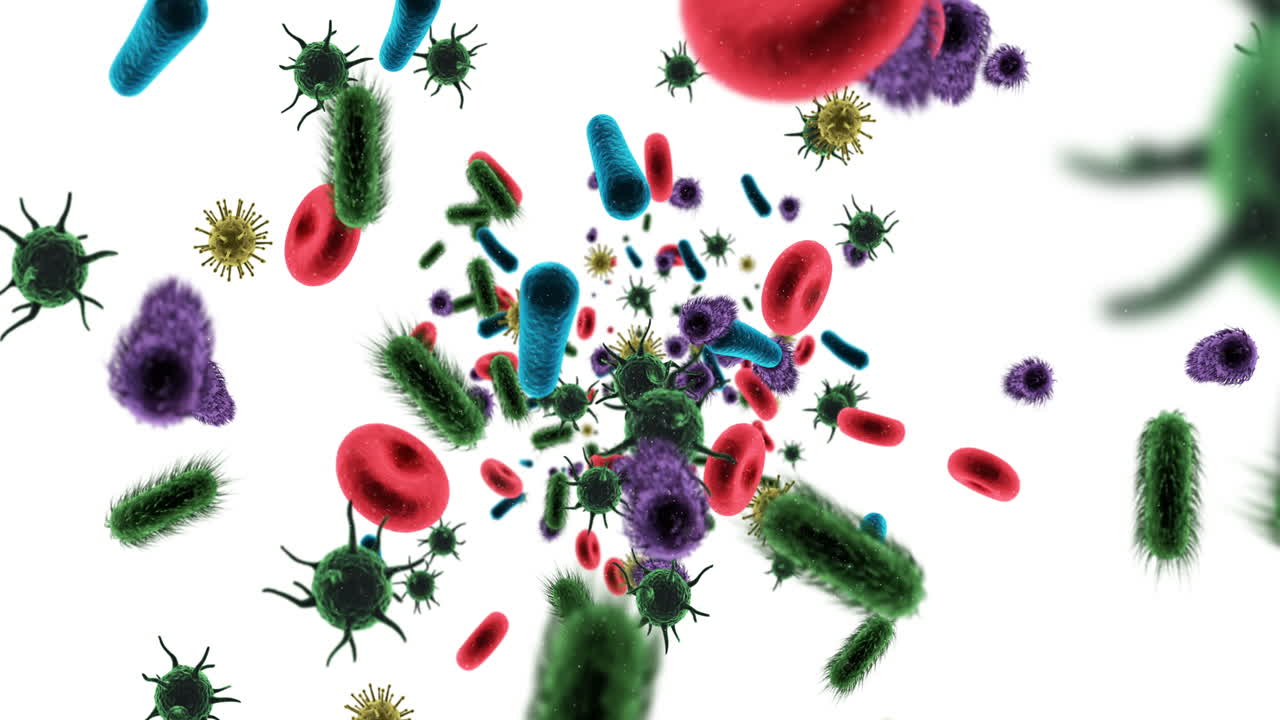 цифровые вирусные клетки, красные кровяные клетки и бактерии на белом фоне