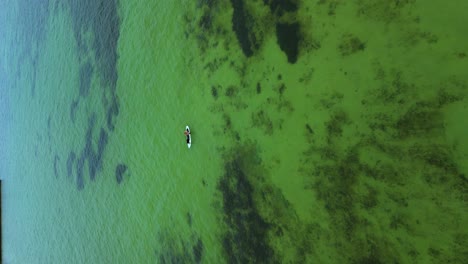 drone coming in on a person kayaking in the florida keys