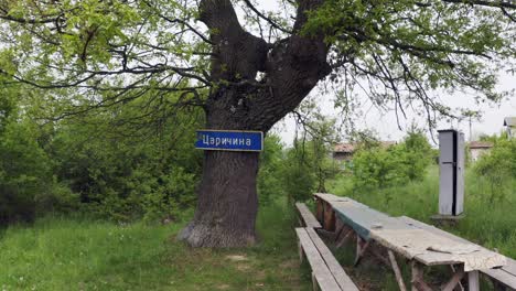 Panning-from-the-left-going-to-the-right-side-of-the-frame-on-a-tree,-a-natural-landmark-in-Tsarichina-Hole-Village-in-Bulgaria