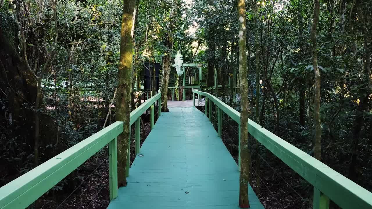 POV walking on green wooden walkway through tropical nature park, Argentina
