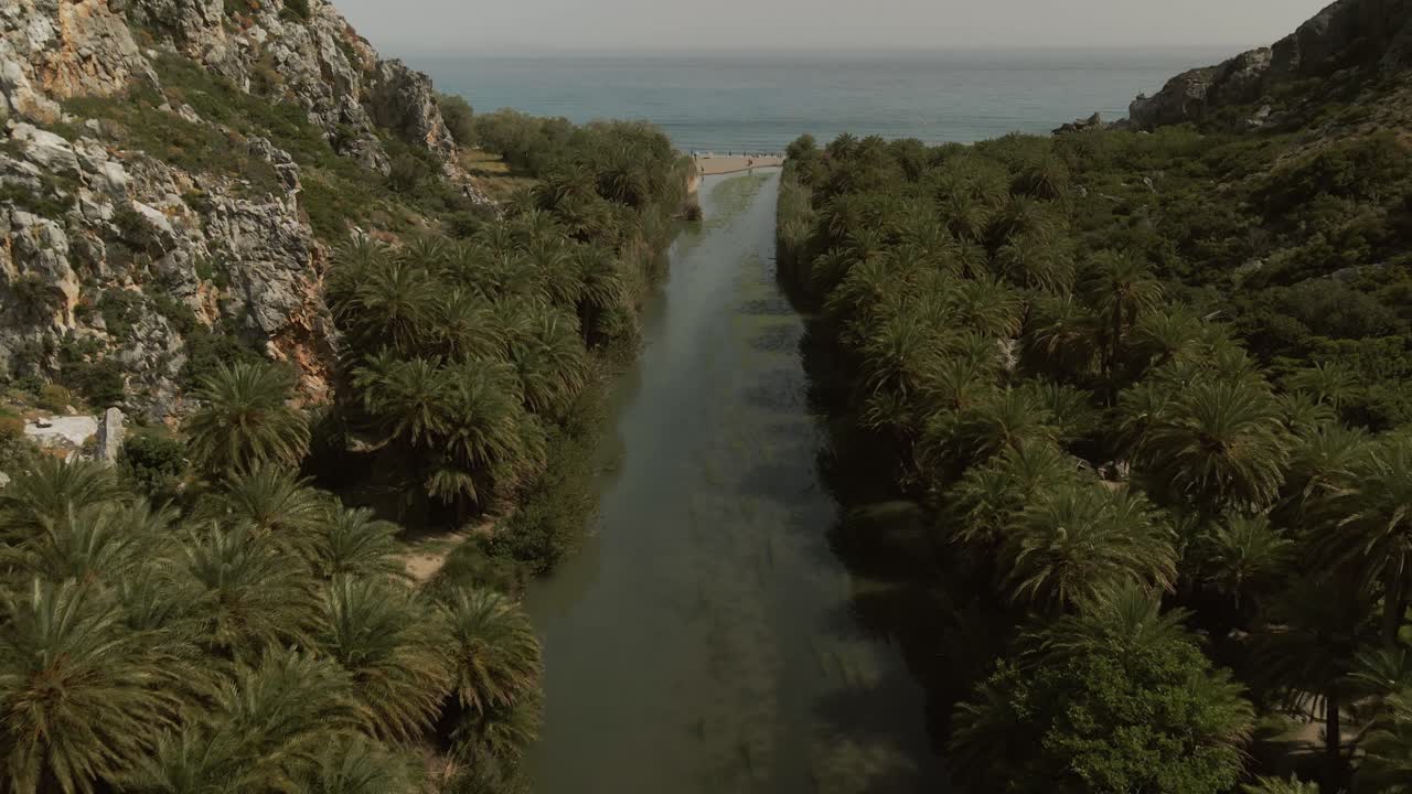 Elevated view of a palm-lined river flowing through a rocky gorge toward the sea with cliffs on both sides and sparse vegetation near Preveli beach, Crete, Greece