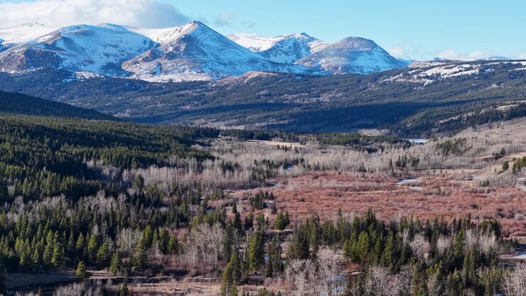 Ampia ripresa aerea di montagne innevate e cime rocciose che si ergono sopra una valle scoscesa con foreste sempreverdi e dolci colline nel Montana
