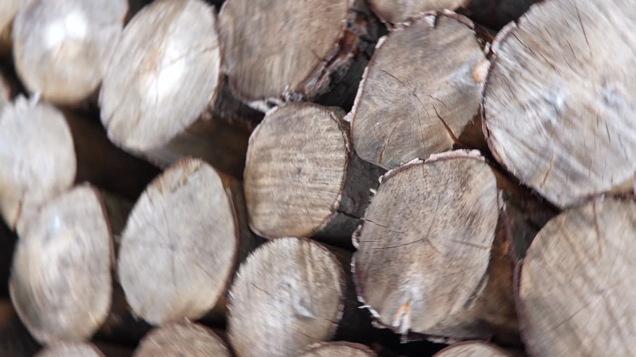 목재의 어리, 목재 저장소, 불타는 나무를 잘라 나무 줄기 줄기를 어 놓고 준비, 카메라의 원형 움직임