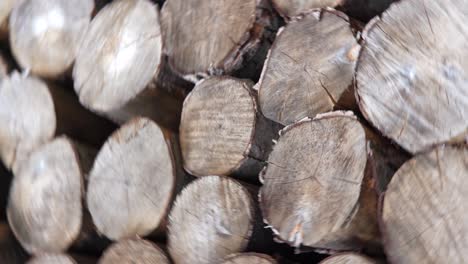 pilas de madera juntas. almacenamiento de madera. leña cortada troncos de árboles apilados preparados. movimiento circular de la cámara
