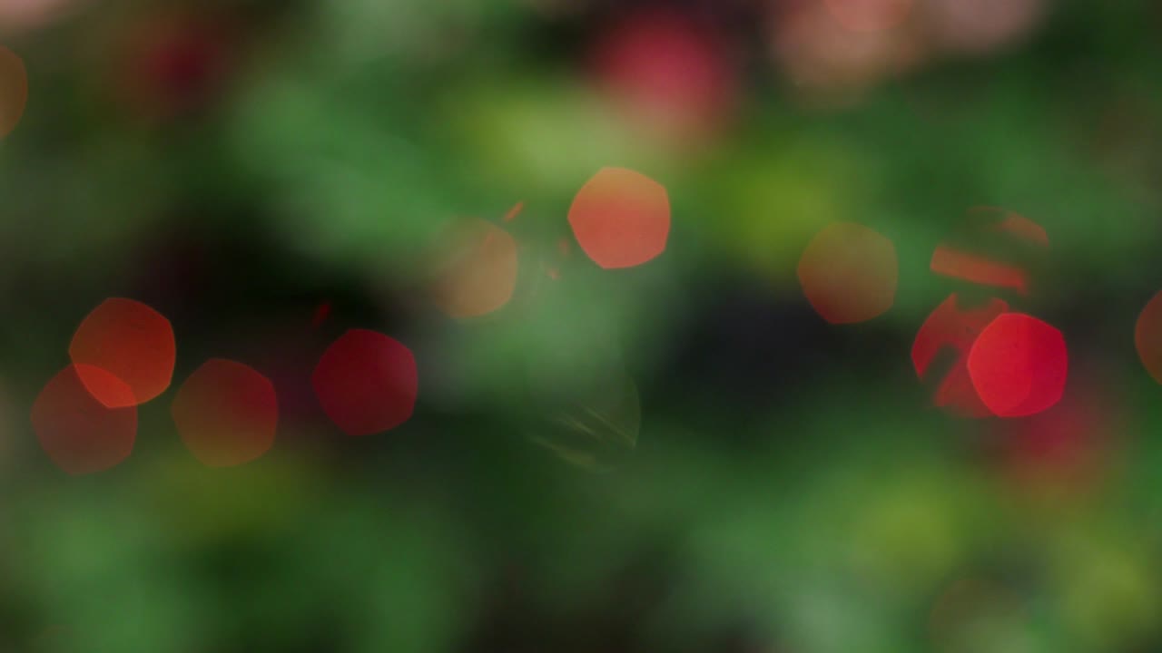 el colorido bokeh del árbol de luces de navidad.
