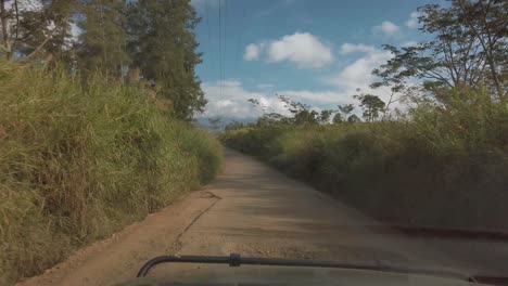 pov conduciendo a través de baches en caminos rurales a través de hierba alta