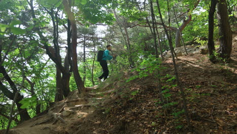 hombre solitario caminando en el bosque de montaña