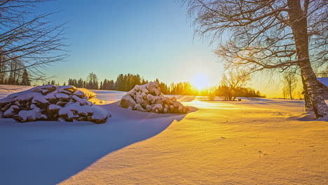 time lapse shot of beautiful snowy scenery with snowcapped plants and golden sunset at horizon - fascinating sunny day with blue sky on reflection of sunbeam on white snow surface