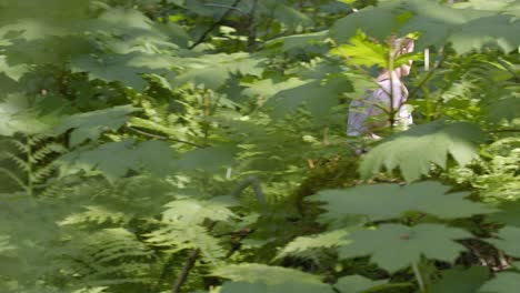 Mujer-Joven-Activa-Corriendo-En-La-Naturaleza-En-El-Camino-En-Un-Denso-Bosque-Verde