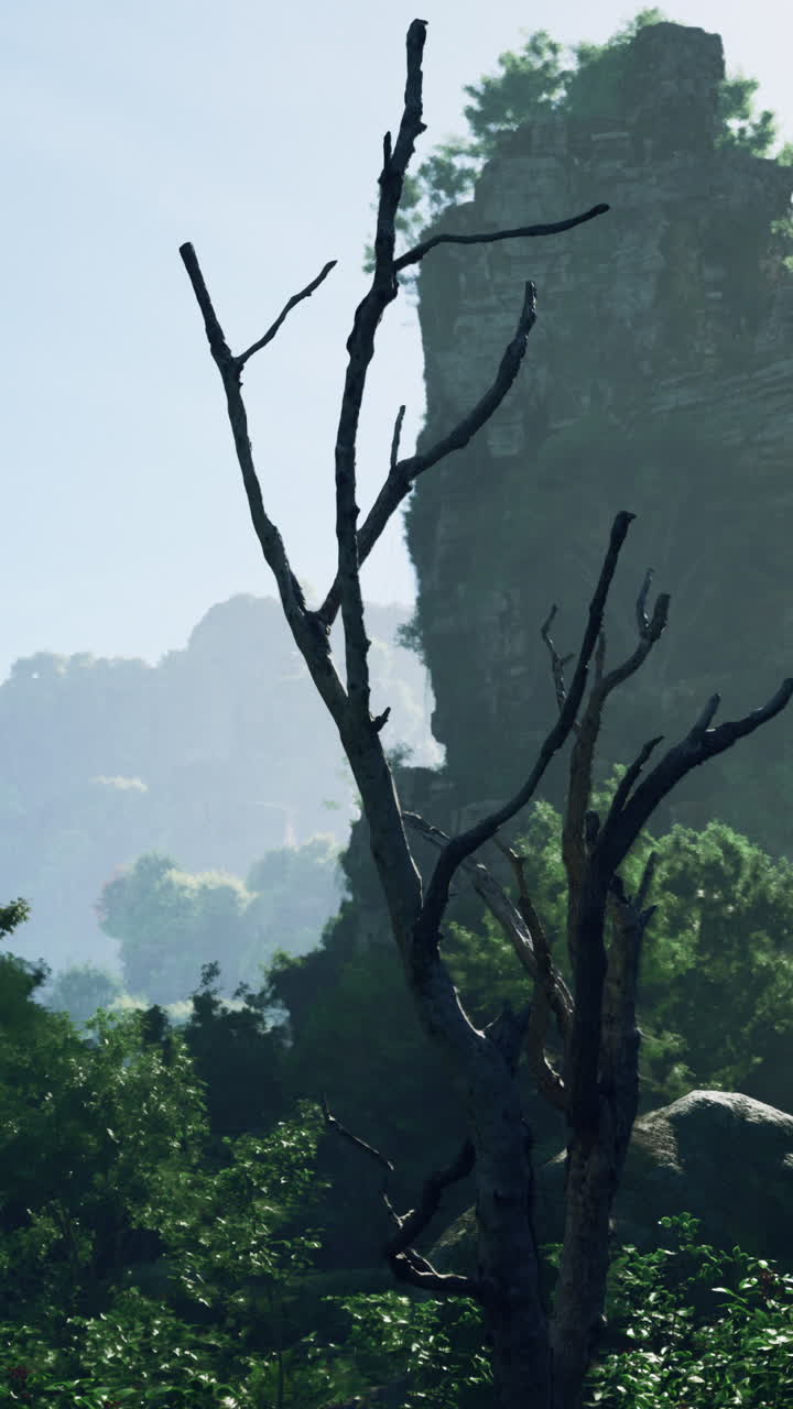 Ancient Temple Ruins in a Lush Jungle