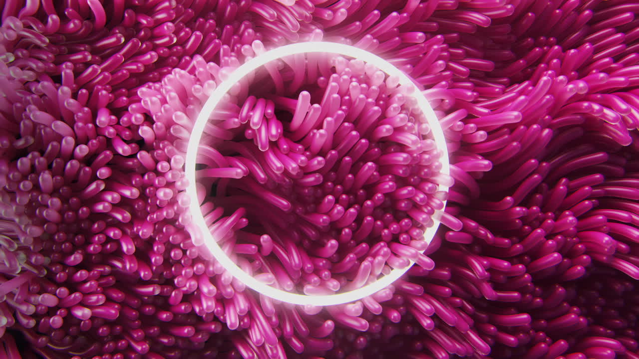 네온 원과 함께 물 에서 흔들리는 분홍색 해파리 해조류의 배경