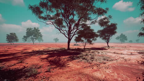 paisaje africano con árboles de acacia