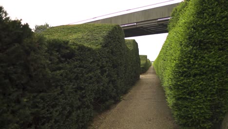 Betreten-Des-Grünen-Labyrinths-In-London-City-Langer-Weg-Ohne-Endbeschnittene-Büsche,-Um-Ein-Wellenmuster-Zu-Erzeugen,-Das-Niemand-Um-Einen-Stabilen,-Sich-Bewegenden-Schuss-Nach-Vorne-Bewegt,-über-Einer-Brücke-über-Bewölktem-Wetter