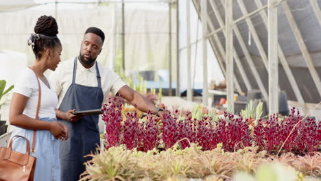 plant nursery, african man and customer discussing flowers and greenery, in greenhouse, copy space