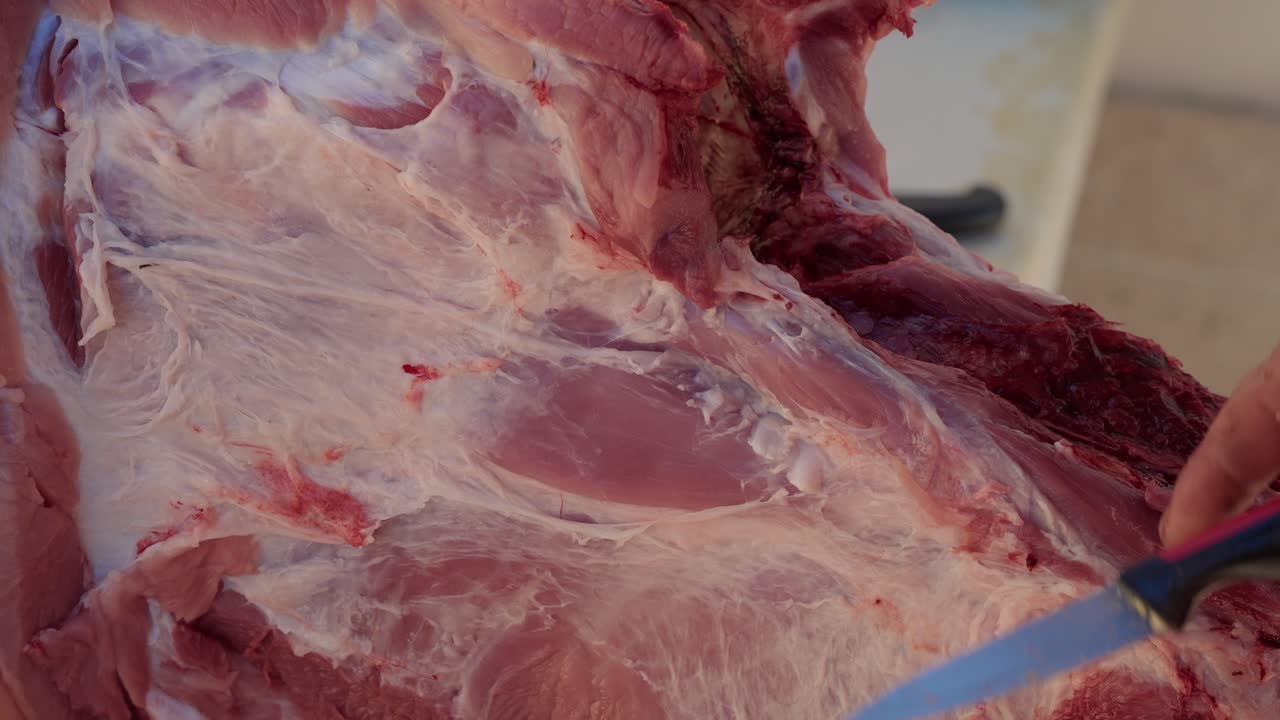 Knife trims pork carcass during rural north Portugal traditional pig butchering