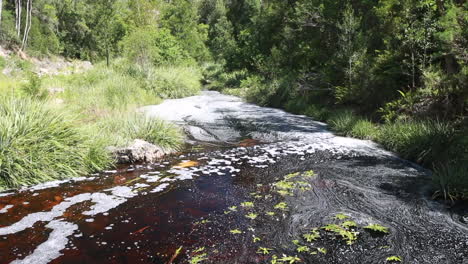 the small weir along the knysna river with water slowly flowing over it towards the downstream valley during summer