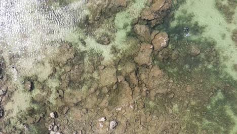 Vista-Aérea-De-Arriba-Hacia-Abajo-Del-Agua-Del-Océano-En-Una-Costa-Con-Agua-Clara-Y-Rocas-En-El-Agua-A-Lo-Largo-De-La-Playa