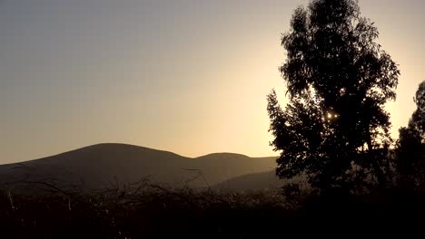 Sundowner-Santa-Ana-Vientos-Que-Soplan-Hierba-Y-árboles-En-Un-Rancho-En-Santa-Ynez-Santa-Barbara-California