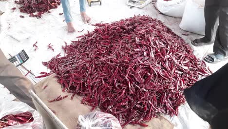 vendedor de pimienta venta chile pimiento rojo seco o mirchi en la tienda de la calle- embalaje mirchi o chile rojo