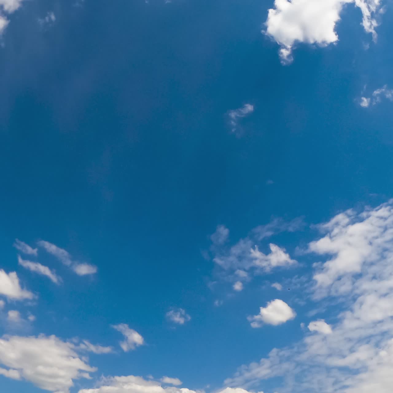 Amazing summer sky with soft fluffy clouds. Stratus cloudscape flying at backdrop. Low angle view. Timelapse