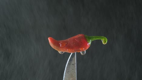 a red pepper perched on a knife dripping with water