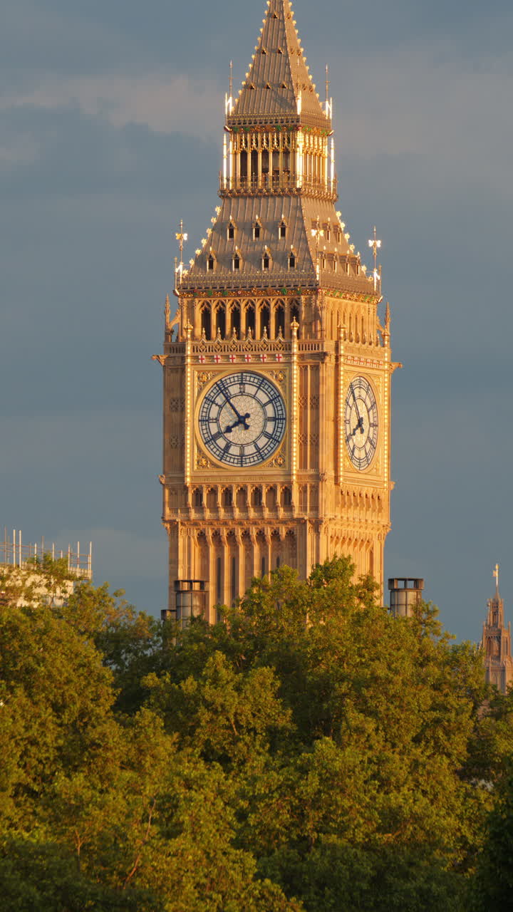 The Big Ben surrounded by green trees in the evening sunlight in London, England. Vertical