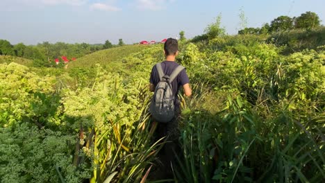 Rückansicht-Des-Jungen-Rucksacktouristen-In-Der-Mitte-Auf-üppig-Grünem-Buschland-In-Bangladesch