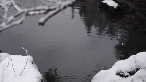 Winter-landscape,-drops-falling-into-the-water,-branch-at-the-foreground,-highlands,-Scotland,-static-shot