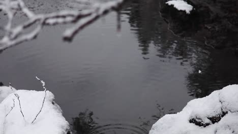 winter landscape, drops falling into the water, branch at the foreground, highlands, scotland, static shot