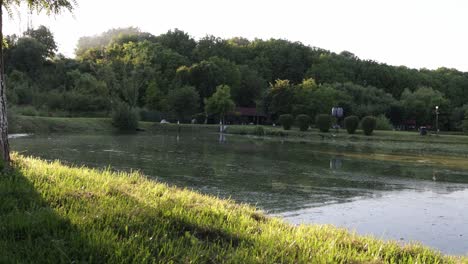 Looking-across-small-fish-pond-at-event-venue,-late-afternoon