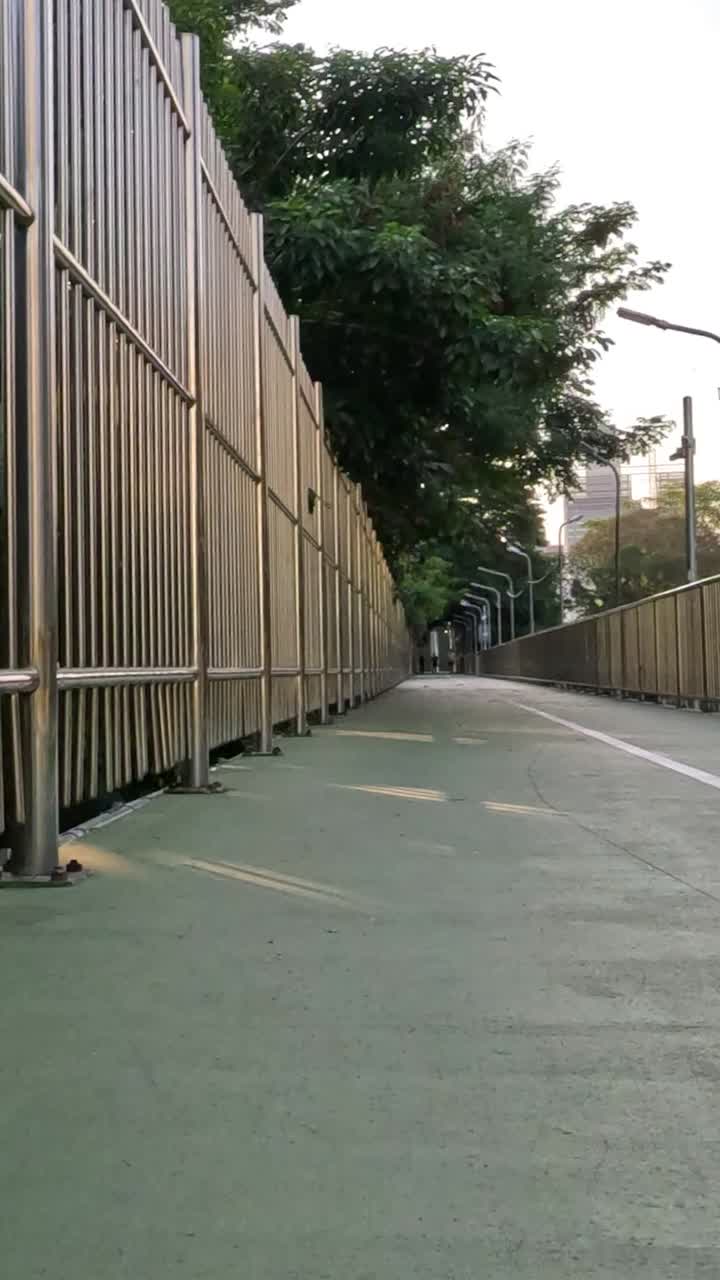 Un cane felice cammina verso la telecamera su un ponte