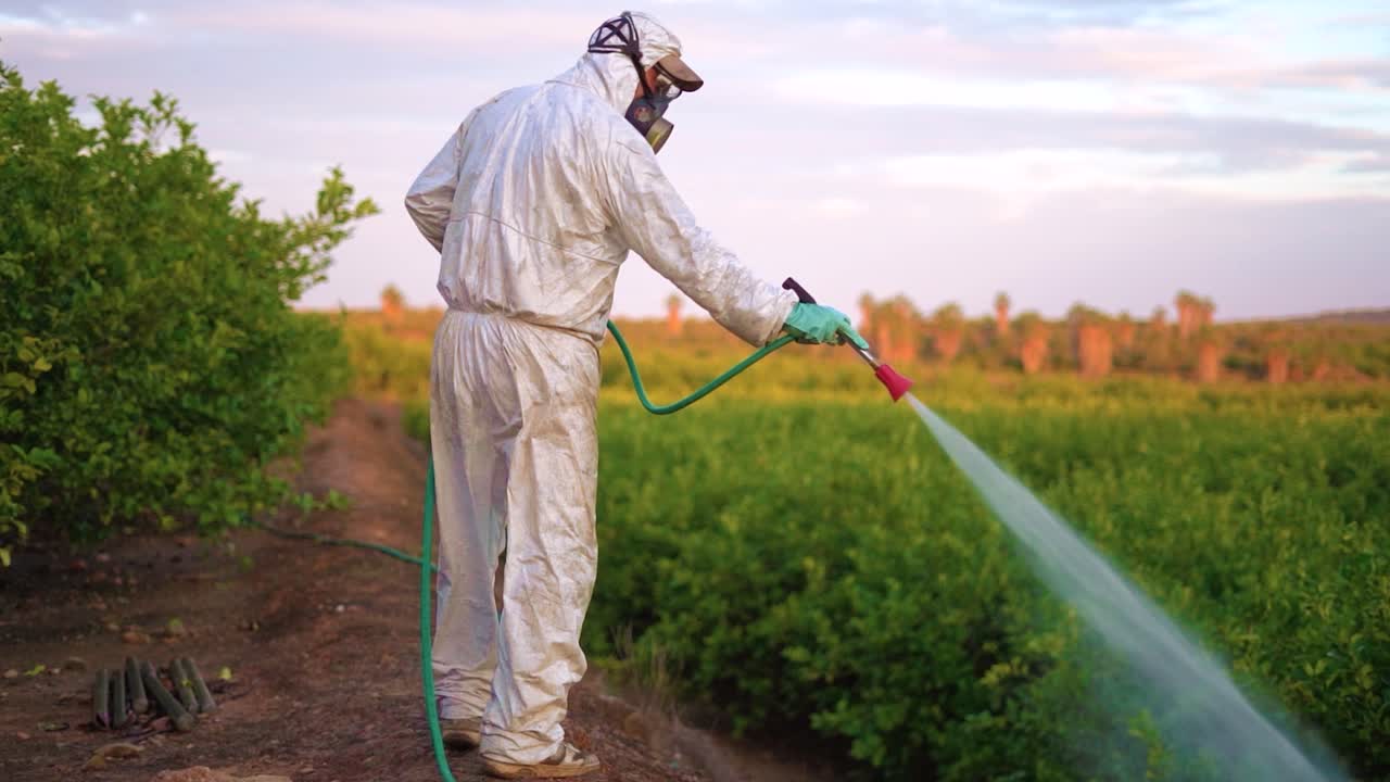 Spray ecological pesticide. Farmer fumigate in protective suit and mask lemon trees. Man spraying toxic pesticides, pesticide, insecticides