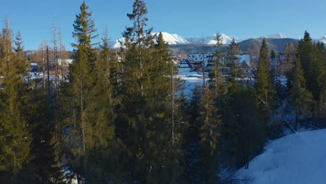 Charming Village Reveal through Winter&#039;s Woodland - Drone aerial