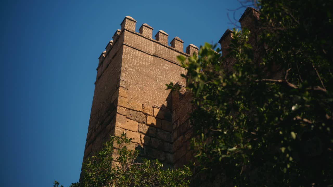 Torre di fortezza in pietra che si erge sulla vegetazione sotto un cielo blu