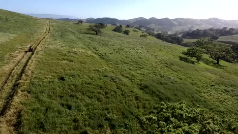 ATV-Speeding-Up-a-Green-Hill-Filled-with-Oak-Trees