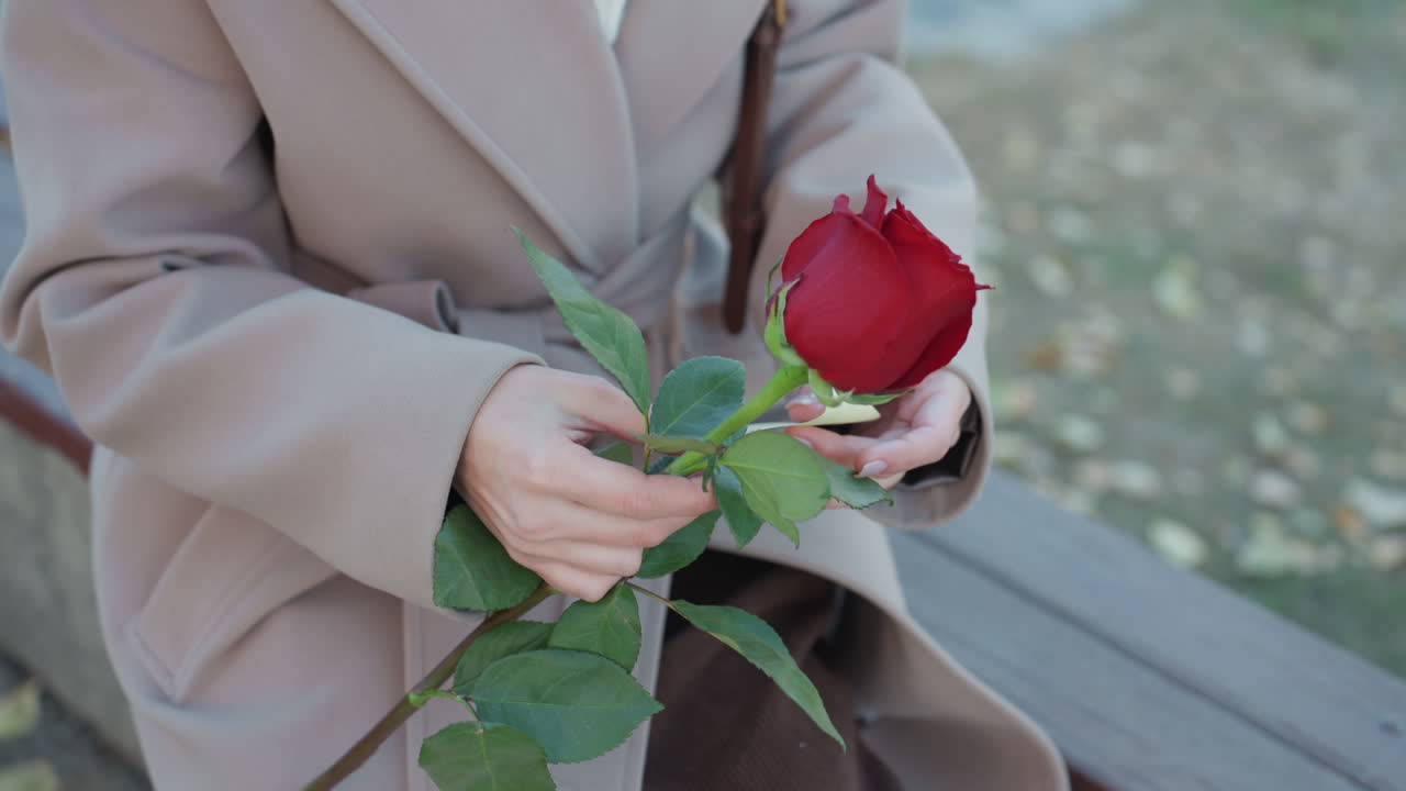 Wanita dengan hati-hati meletakkan bunga di bangku taman. Wanita Kaukasia dengan lembut menyesuaikan bunga merah di tengah suasana damai. Wanita dengan saksama menata mawar merah di bangku di tengah lingkungan taman yang tenang.