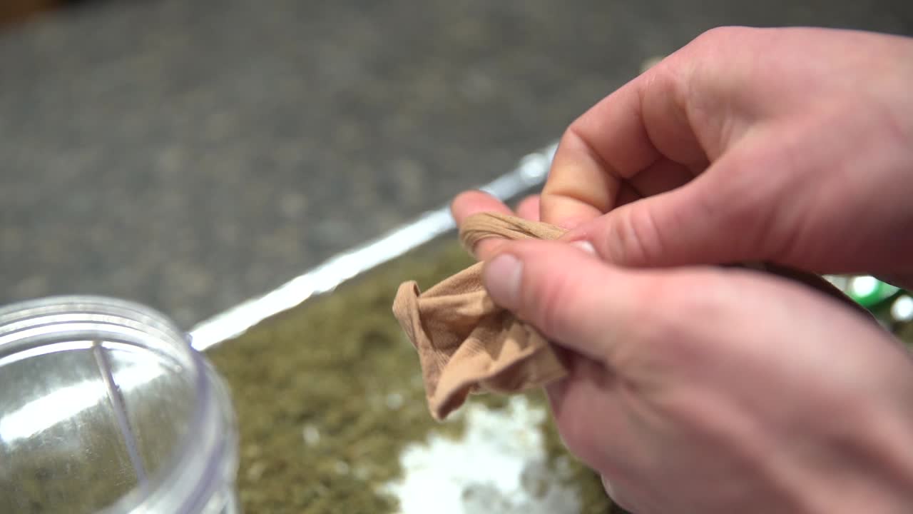 Pantyhose filled in marijuana buds tied for oil extraction, close up