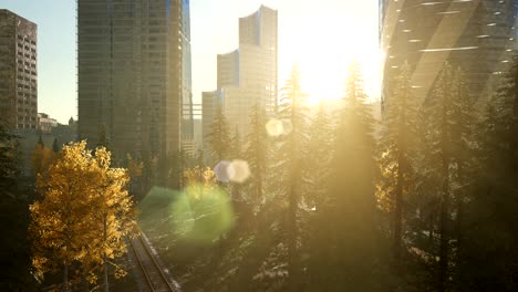 city skyline with urban skyscrapers at sunset