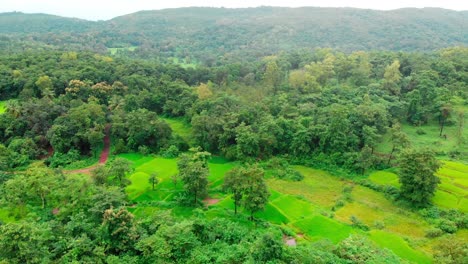 Campo-De-Arroz-Maharashtra-Indio-En-Montañas-Verdes-Droen-Tiro-Vista-Superior