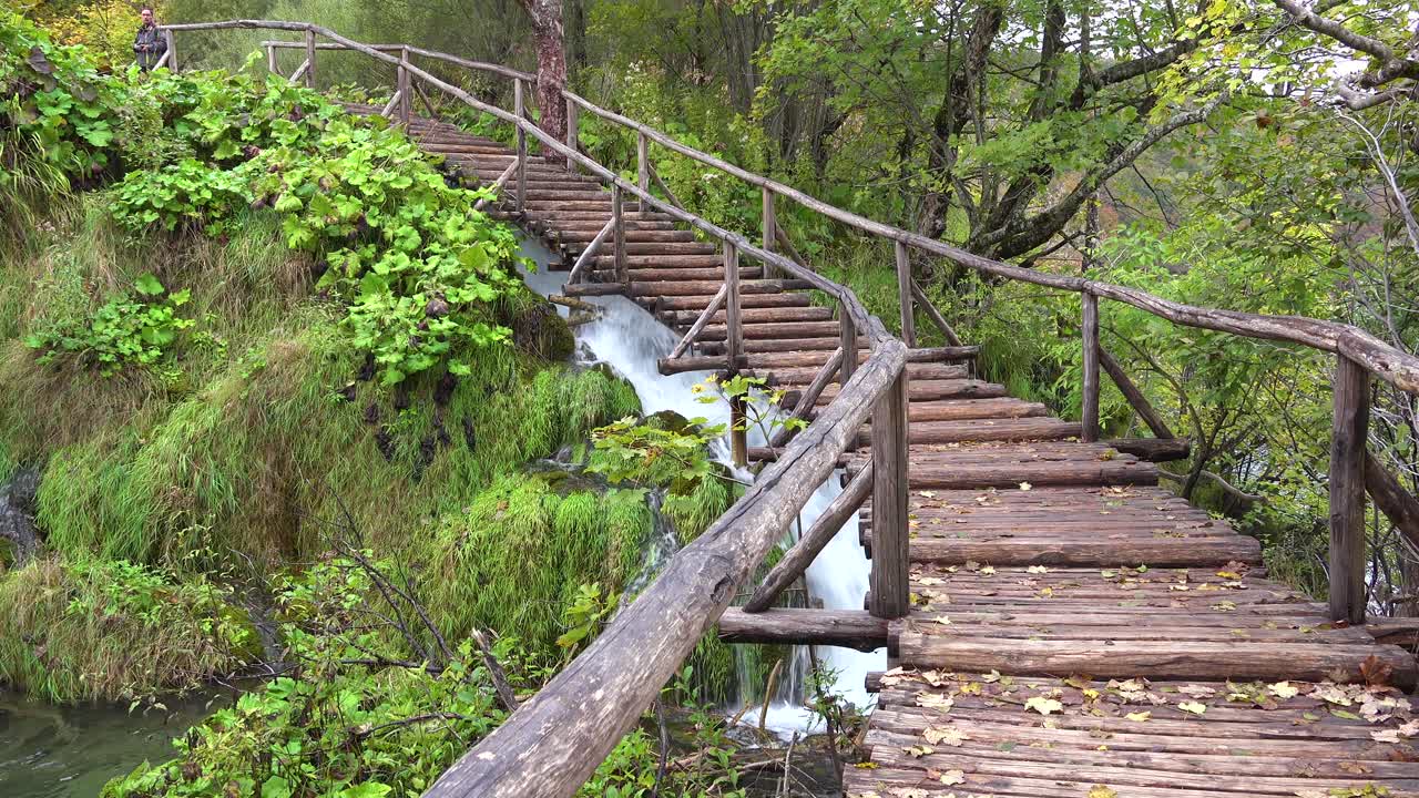 한 여성이 플리트비체 국립공원의 길을 걷고 있습니다.