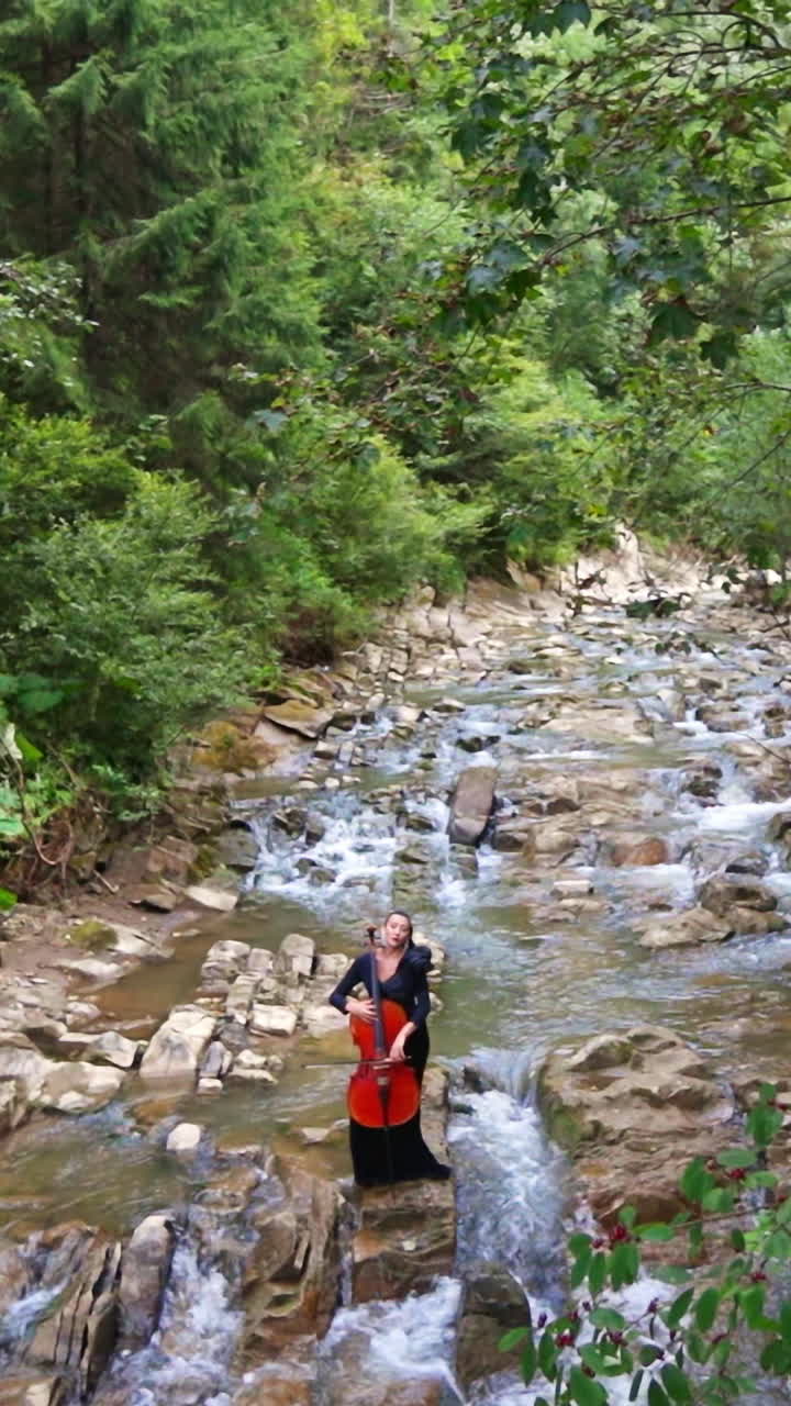 Woman playing cello in a mountain stream
