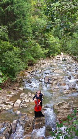 woman playing cello in a mountain stream