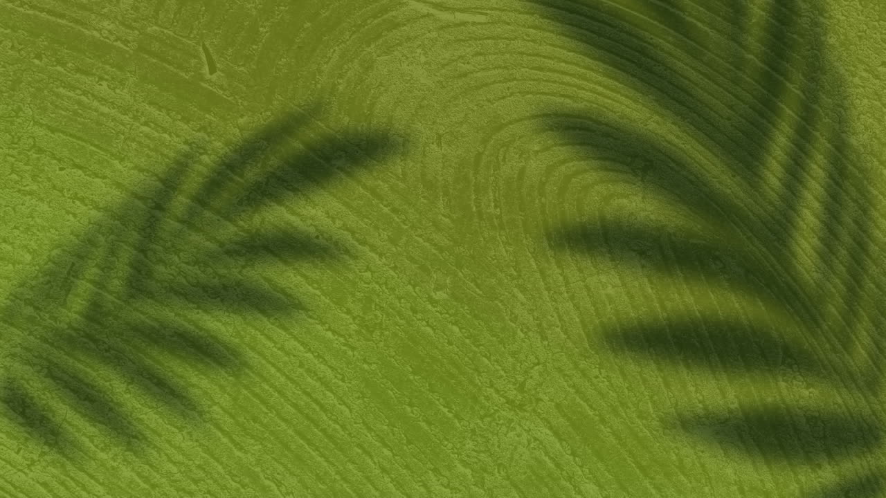 animación de sombras de hojas de palma balanceándose sobre el patrón cambiante de grano de madera verde