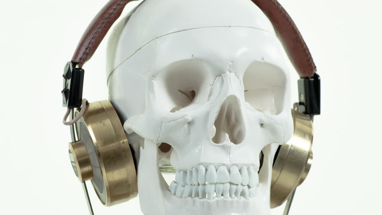 teschio con le cuffie d'oro