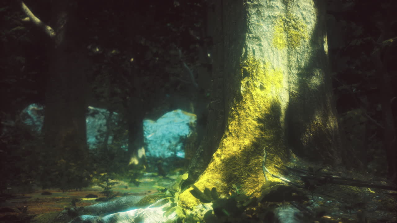 Moss covered tree trunk in a dense forest during early morning light