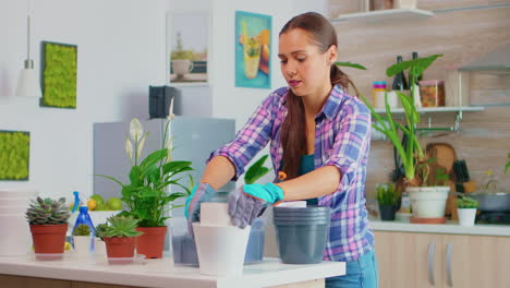 Bringing-flowerpots-on-work-table