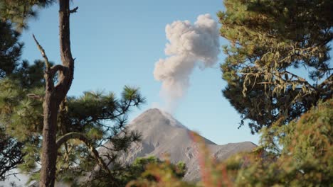 vista matutina del volcán fuego, guatemala, con una enorme columna de ceniza enmarcada por una exuberante vegetación