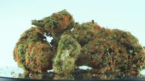 Close-up-shot-of-a-Marijuana-sativa-Super-Lemon-Haze-flowers,-orange-strains,-green-weed,-on-a-reflecting-360-rotating-stand,-Slow-motion-4K-video